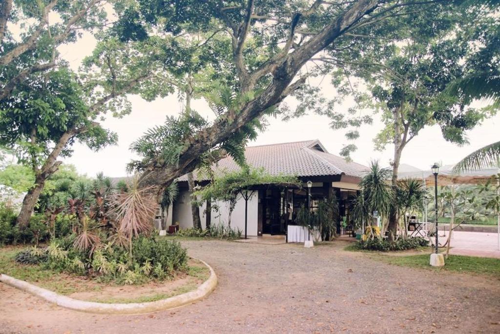 San Antonio Resort Roxas City Eksteriør billede